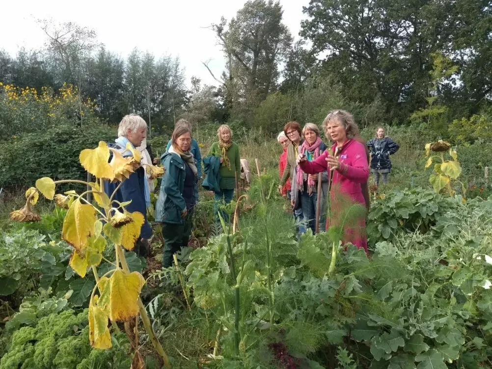 Rondleiding voedselbos in Glimmen