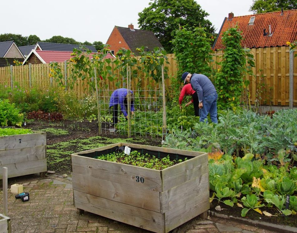 De dorpstuin van Plaat de Wereld in Vries